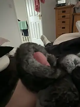 Furdale online show from April 2026 11:12:01 AM