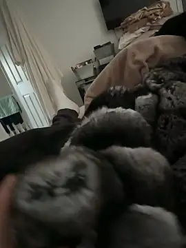 Snapshot of Furdale chatting on February 2026 04:15:01 PM Furdale online show from February 2026 04:15:01 PM