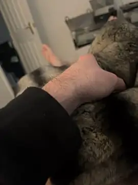 Snapshot of Furdale chatting on February 2025 03:11:01 PM Furdale online show from February 2025 03:11:01 PM