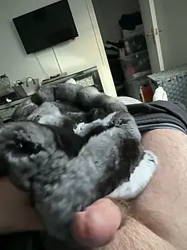 Snapshot of Furdale chatting on September 2025 05:17:01 PM Furdale online show from September 2025 05:17:01 PM