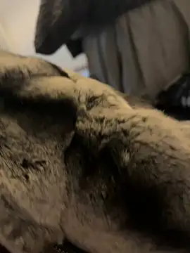 Snapshot of Furdale chatting on January 2025 12:44:02 PM Furdale online show from January 2025 12:44:02 PM