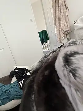 Furdale online show from March 2026 12:41:02 PM