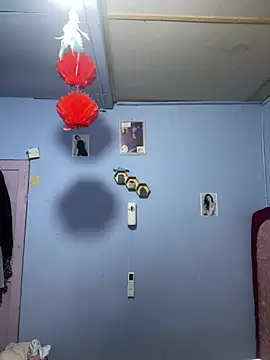 Sanieku online show from March 2026 02:39:01 PM