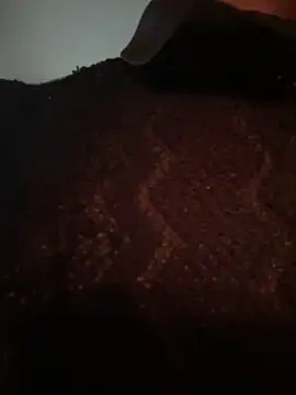 Alessandro  Rossi online show from March 2026 03:13:02 AM