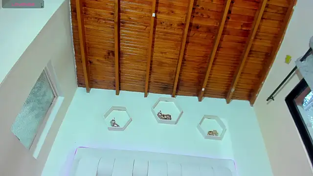 shanakendall online show from March 2026 02:41:01 PM