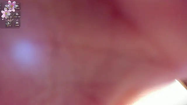 Snapshot of shanakendall chatting on February 2026 02:17:02 PM shanakendall online show from February 2026 02:17:02 PM