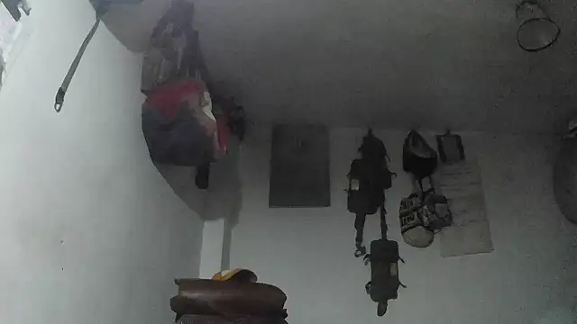 crazylatinguyy online show from December 2025 10:31:01 PM