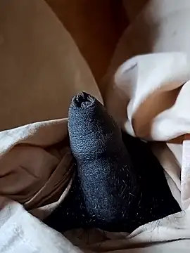 malluflash online show from January 2026 08:54:01 AM