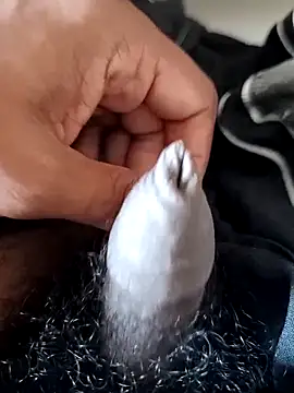 malluflash online show from February 2026 08:03:01 AM