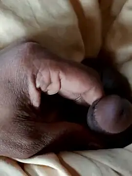 malluflash online show from January 2026 09:04:02 AM