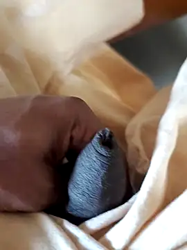 malluflash online show from February 2026 06:54:02 AM