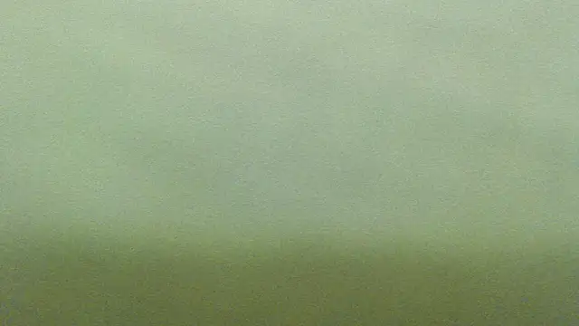 mmmPinUpGirl online show from December 2025 03:55:01 AM