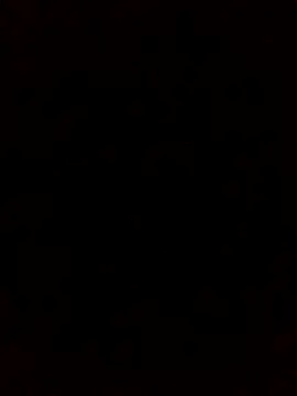 rodovlaz online show from October 2025 01:24:01 PM