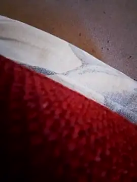 rodovlaz online show from February 2026 11:20:02 AM