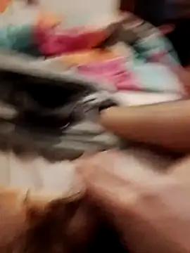 Snapshot of jon763 chatting on February 2026 09:17:02 AM jon763 online show from February 2026 09:17:02 AM