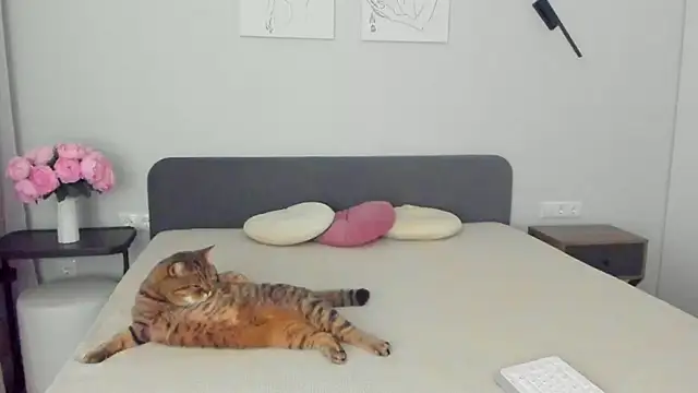 miss emily  online show from April 2026 11:23:02 PM