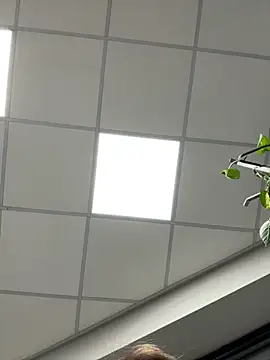 tattooed test online show from November 2025 03:01:02 PM