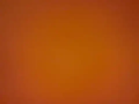 tattooed test online show from September 2025 11:53:02 AM