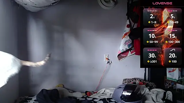 Apolo S online show from March 2026 03:16:02 PM