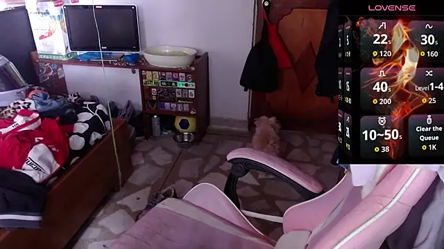 Apolo S online show from February 2026 02:27:02 PM