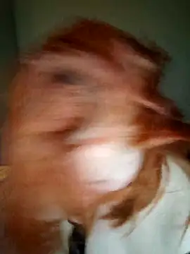 lollipop cat online show from April 2026 09:39:33 PM