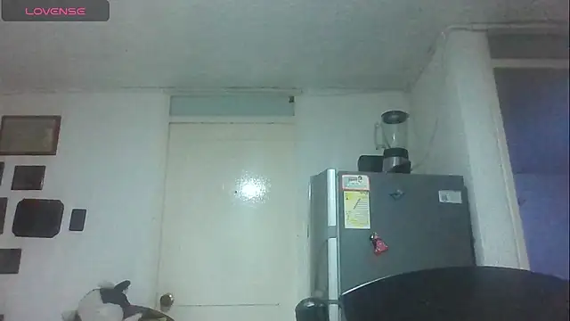 Snapshot of SexDiffrent chatting on November 2025 06:40:02 PM SexDiffrent online show from November 2025 06:40:02 PM