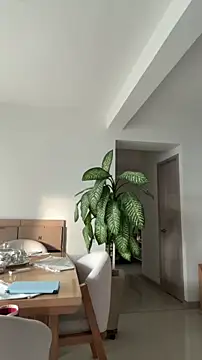 Snapshot of KalaBeckett_ chatting on April 2026 11:38:01 AM KalaBeckett online show from April 2026 11:38:01 AM