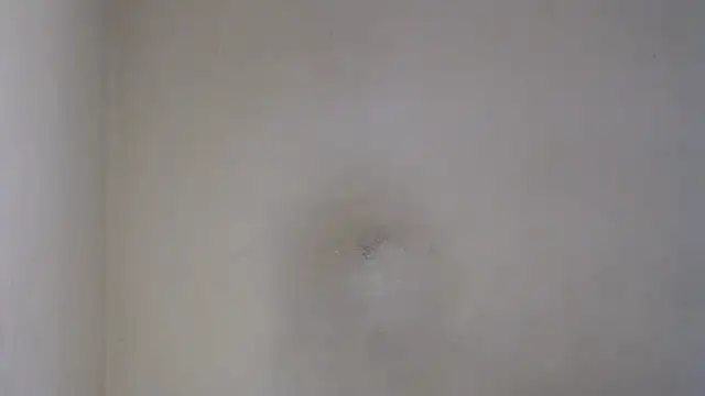 AlexNudo online show from February 2025 12:05:02 PM