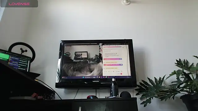 Snapshot of cat_salo chatting on March 2025 01:53:02 PM cat salo online show from March 2025 01:53:02 PM