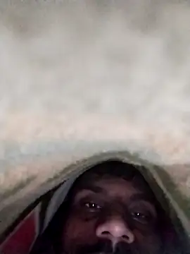 Cp7990208 online show from November 2025 11:16:01 PM