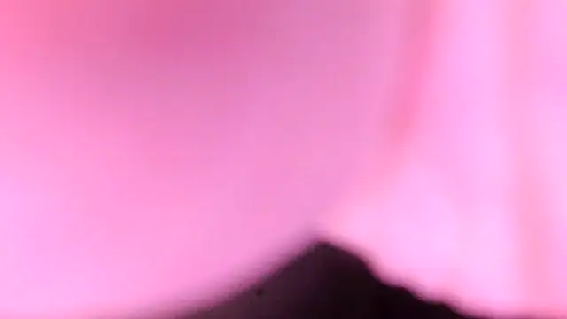 sr4343 online show from February 2026 10:18:01 PM