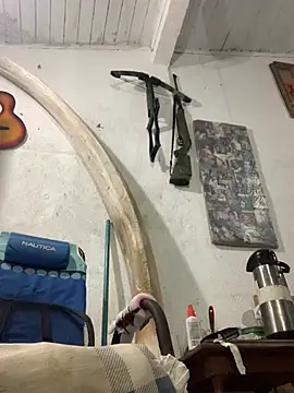 Snapshot of raphadoors19 chatting on January 2026 06:53:01 AM raphadoors19 online show from January 2026 06:53:01 AM