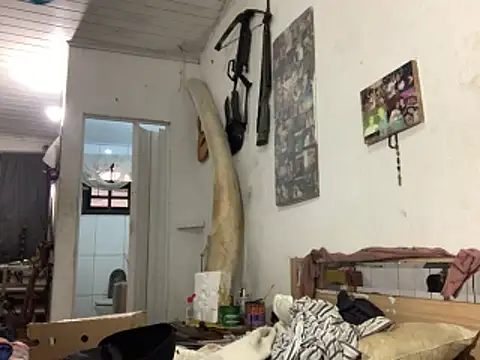 Snapshot of raphadoors19 chatting on November 2025 07:57:01 PM raphadoors19 online show from November 2025 07:57:01 PM