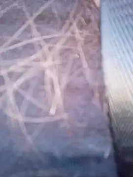 Snapshot of piiruwx chatting on March 2026 09:22:01 PM piiruwx online show from March 2026 09:22:01 PM