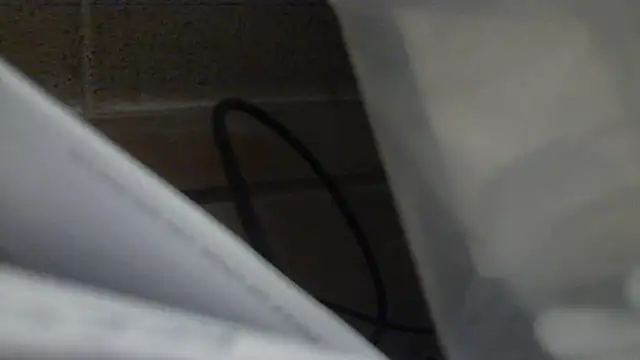 stelletje55 online show from April 2026 07:42:02 PM