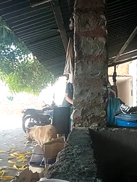 Snapshot of PrivCamZone chatting on October 2025 05:25:02 PM PrivCamZone online show from October 2025 05:25:02 PM