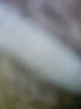 fuckineverett online show from March 2025 03:48:02 PM