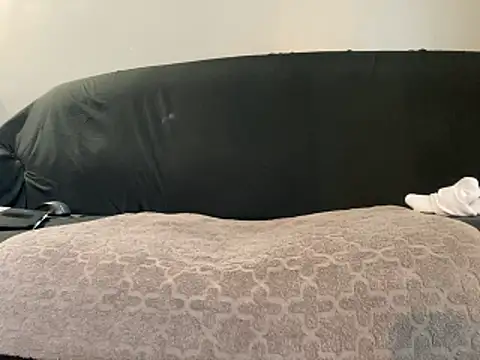 BruceIsHorny  online show from February 2026 02:39:02 PM