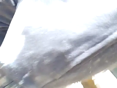 Diablo9804 online show from March 2026 06:45:01 PM