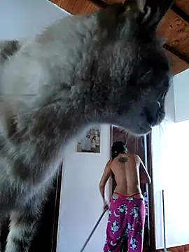 LunaZambrano online show from December 2025 03:06:01 PM