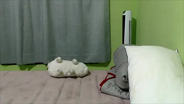 YummymeowW online show from December 2024 03:06:02 AM