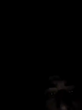 Snapshot of SpeedMagnumBlade6669 chatting on February 2026 07:19:02 AM SpeedMagnumBlade6669 online show from February 2026 07:19:02 AM