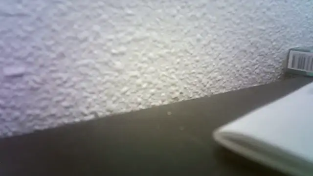 Snapshot of pau65vb chatting on November 2025 08:03:02 AM pau65vb online show from November 2025 08:03:02 AM