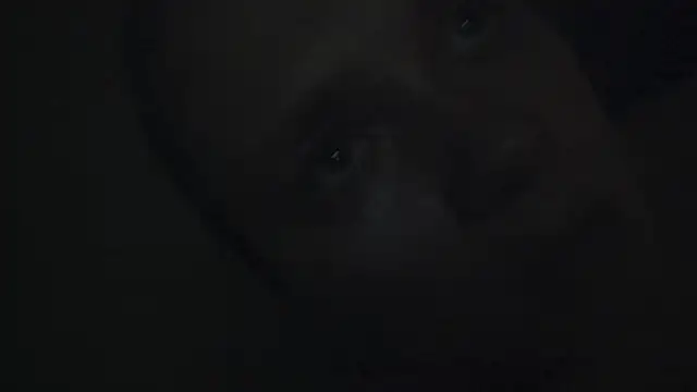 Snapshot of FrumCake chatting on January 2025 12:41:01 AM FrumCake online show from January 2025 12:41:01 AM