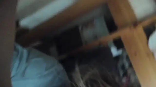 Snapshot of FrumCake chatting on March 2025 10:00:02 AM FrumCake online show from March 2025 10:00:02 AM