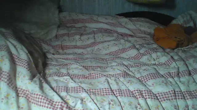 Snapshot of Alma_Evelynne chatting on February 2026 11:46:02 PM Alma Evelynne online show from February 2026 11:46:02 PM