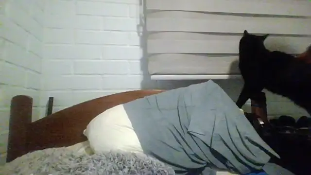 hung weeb online show from July 2026 05:14:02 AM