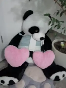 Snapshot of elikako chatting on March 2025 07:06:02 PM elikako online show from March 2025 07:06:02 PM