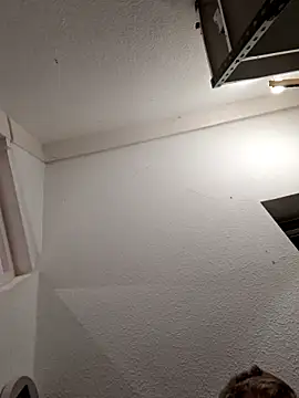 Percy ohv online show from November 2025 09:08:02 PM