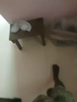 anjaanarun online show from November 2025 03:11:02 AM